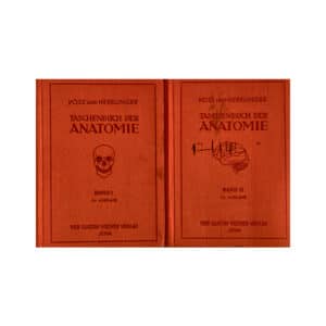 Taschenbuch der Anatomie. Band 1 und 3 1959 - Robert Herrlinger, Voss Hermann - 1959 - -