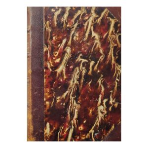 Sonderbare schwärmer - Max Kretzer - 1892 - -