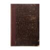 Thier und Pflanzen Geographie Band 2 - Otto Wilhelm THOME - - - -