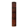 Thier und Pflanzen Geographie Band 2 - Otto Wilhelm THOME - - - -