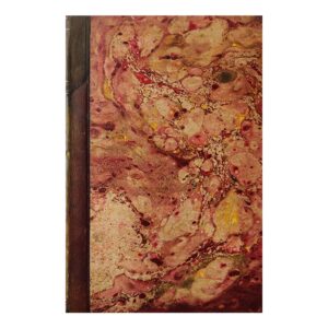 Die Krankheiten des Ohres und deren Behandlung - Arthur Hartmann - 1884 - -
