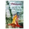 Pihlaksaare Leida - Heili Müüripeal - 1996 - 9985660412