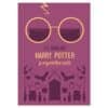 Harry Potter ja segavereline prints