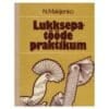 Lukksepatööde praktikum