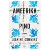 Ameerika pind