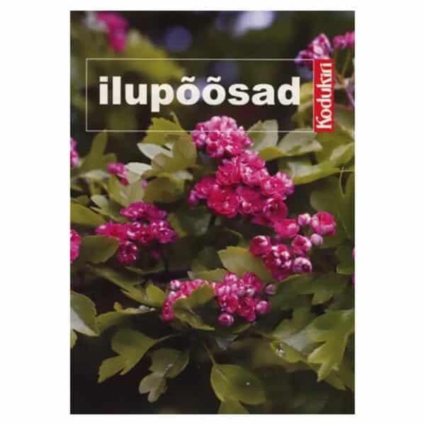 Ilupõõsad