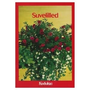 Suvelilled