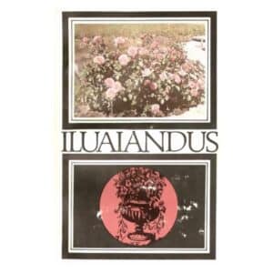 Iluaiandus - - - 1979 - -