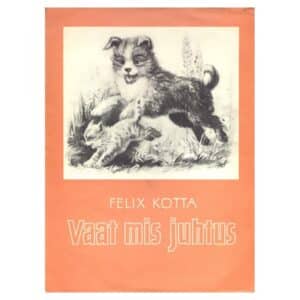 Vaat mis juhtus - Felix Kotta - 1976 - -