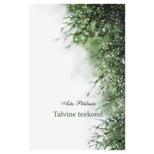 Talvine teekond