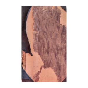Prantsuse antoloogia - - - 1918 - -