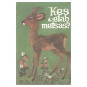 Kes elab metsas? - Siima Škop - 1972 - -