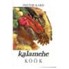 Kalamehe köök - Peeter Kard - 1997 - -
