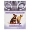 Salapärased lemmikloomad - Michael Streeter - 2004 - 9985737911