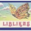 Liblikas - R. Husnutdinova - 1978 - -