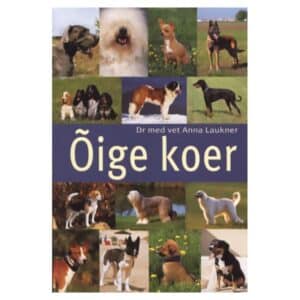 Õige koer - Anna Laukner - 2004 - 9985536002