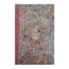 Le Poesie Liriche di Dante Alighieri illustrate da Giovanni Fornaro - - - - - -