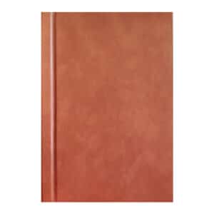 Eestimaa 300 aasta eest - Martin Morrison - 1913 - -