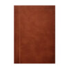 Uus Mõistlik seltsiline - - - 1894 - -