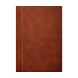 Uus Mõistlik seltsiline - - - 1894 - -