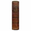 Павловский – Русско-немецкий словарь 1879 - И.Я. Павловский - 1879 - -