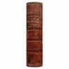 Pawlovskys Deutsch-Russisches Wörterbuch 1888 - И.Я. Павловский - 1888 - -