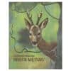 Aasta metsas - Ivan Sokolov-Mikitov - 1977 - -