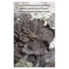 Eesti kividel kasvavad suursamblikud = Epilithic macrolichens of Estonia = Эпилитные макролишайники Эстонии - Andres Saag, Liis Marmor, Ljudmilla Martin, Tiina Randlane - 2015 - 9789949328147