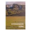 Kultuurikorraldus Islandil - Urve Gromov - 2009 - -